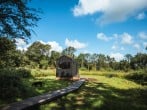 Adhara setting